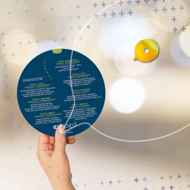 Diagnose Scheibe in der Hand Rainer Designer